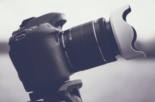 Softboxy fotograficzne – niezastąpione narzędzie w kształtowaniu światła